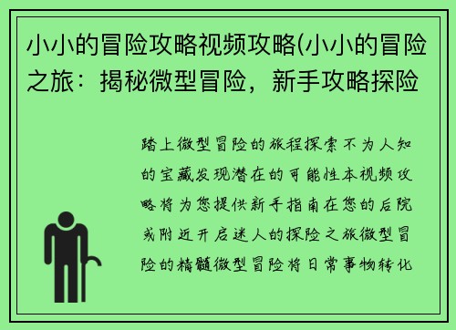 小小的冒险攻略视频攻略(小小的冒险之旅：揭秘微型冒险，新手攻略探险路)
