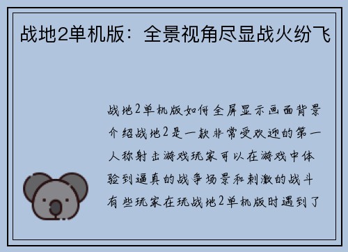 战地2单机版：全景视角尽显战火纷飞